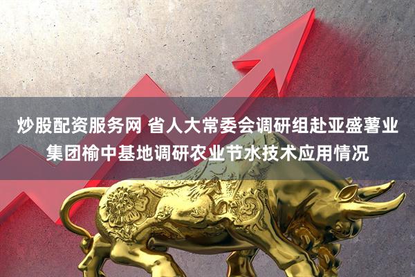 炒股配资服务网 省人大常委会调研组赴亚盛薯业集团榆中基地调研农业节水技术应用情况