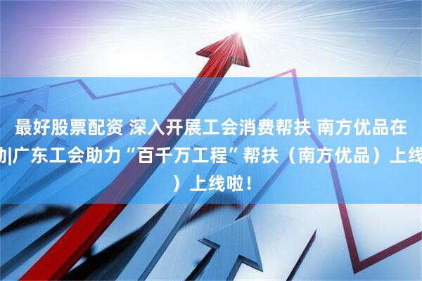 最好股票配资 深入开展工会消费帮扶 南方优品在行动|广东工会助力“百千万工程”帮扶（南方优品）上线啦！