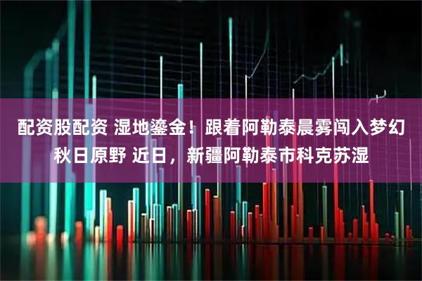 配资股配资 湿地鎏金！跟着阿勒泰晨雾闯入梦幻秋日原野 近日，新疆阿勒泰市科克苏湿
